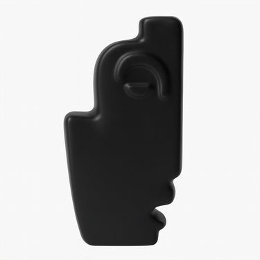 #color_negro